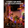 Dekoratif Peri Led 5 M 50 Ampullü Şeffaf Kablo Aydınlatma Yeni Nesil