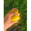 El Bilek Güçlendirme Topu Medium