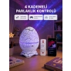 Galaksi Efektli Dinozor Yumurta Projektör – Yüksek Çözünürlüklü