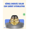 Güneş Enerjili Cam Sarkıt Bahçe Balkon Teras Aydınlatma 30 Led