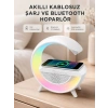 Kablosuz Şarjlı Bluetooth Hoparlör Ve Gece Lambası – Nfc, Fm Radyo, Rgb Işık