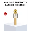 Karaoke Mikrofonu Bluetooth Usb Aux Girişli Yankı Efektli