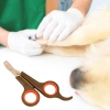 Küçük Çelik Uçlu Kedi Köpek Evcil Hayvan Tırnak Makası Pati Bakım Aleti Ergonomik Kaymaz Sap (5263)