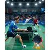 Masa Tenisi Oyun Seti 2 Raket 3 Top Evde Spor Ve Eğlence