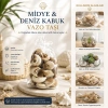 POŞETLİ RENKLİ MİX MİDYE - DENİZ KABUK VAZO TAŞI (5263)