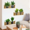 Raflı Bitki Tasarımlı Yapışkanlı Sticker 20*30 cm 3lü Set (5263)