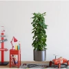Saksılı Bitki Tasarımlı Yapışkanlı Sticker Resim 90*30 cm (5263)