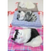 Yastıkta Uyuyan Kedi Sesli Alk25