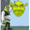 Yeşil Shrek Maskesi 21x25 cm (5263)