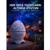 Yumurta Görünümlü Masa Ve Gece Lambası Renk Değiştirebilen Projektör