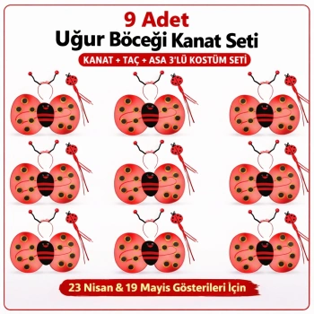9’lu Uğur Böceği Ateş Böceği Kostüm Seti – Kanat Taç Asa (5263)
