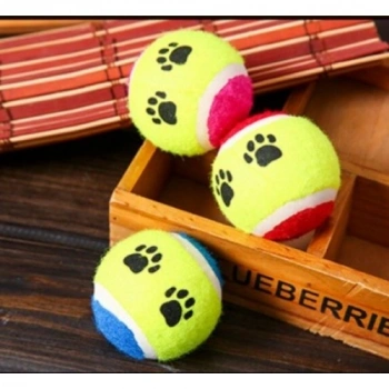 At Getir Köpek Eğitim Topu (5263)