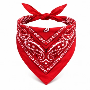 Kırmızı Kovboy Fuları Çocuk Bandana Western Desenli Boyun Fuları (5263)