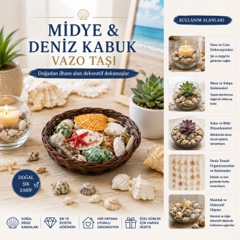 YUVARLAK AHŞAP SEPET RENKLİ MİX MİDYE - DENİZ KABUK VAZO TAŞI (5263)