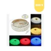 220 Volt 5 Metre RGB Hortum Led 3 Çipli 60 ledli Dış Mekan IP65 Kumandalı Güç Kablolu Set