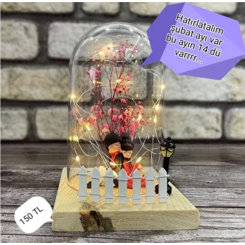 Ahşap Işıklı Cam Fanus