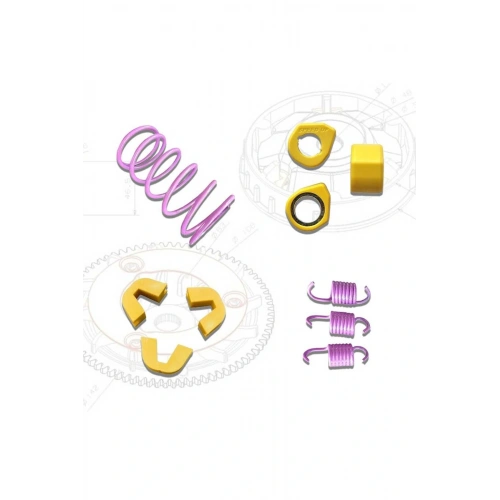 Kuba Chia 125 Speed Up Performans Paketi (Baga 13.5 Gr)