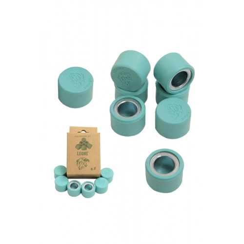 Leone TVS Ntorq 125 18 gr Performans Bagası