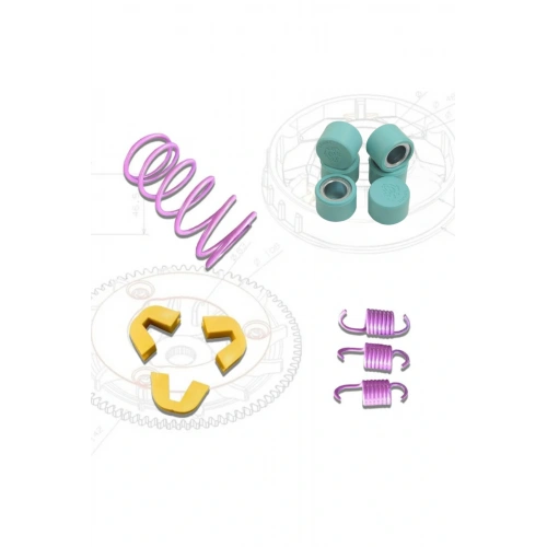 Nanok Lia 125 Performans Paketi (Baga 12 Gr)