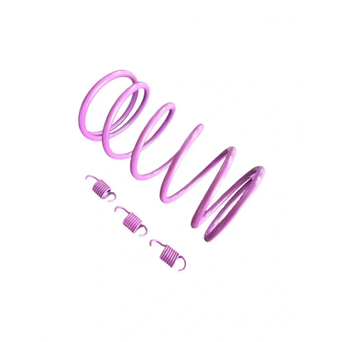 Speed Up Suzuki Address 110CC Motosiklet Arka Varyatör Performans Yayı + Balata Yayı