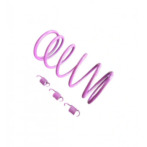 Voge sr1 125 cc Motosiklet Arka Varyatör Performans Yayı + Balata Yayı