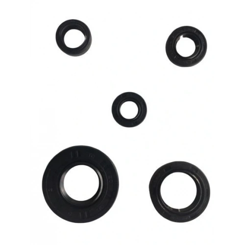 Ybr 5 Li Krank Motor Keçe Seti