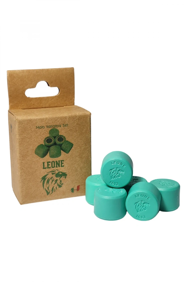 Asya Scooter 100 Leone Performans Bagası 6.5 gram