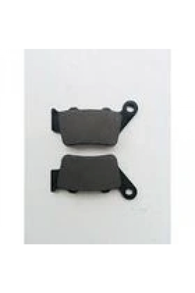 Bajaj Pulsar Ns 200 - Rs 200 Arka Fren Disk Balata