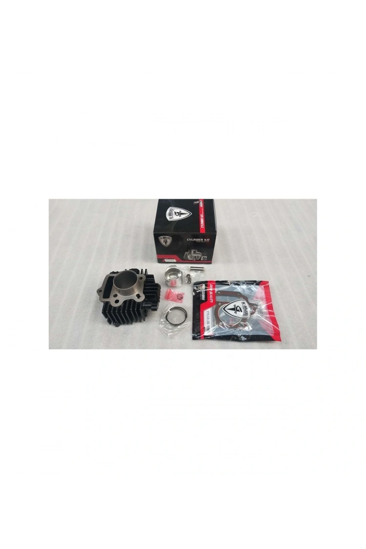 Bisan 100 Lifan Silindir Komple