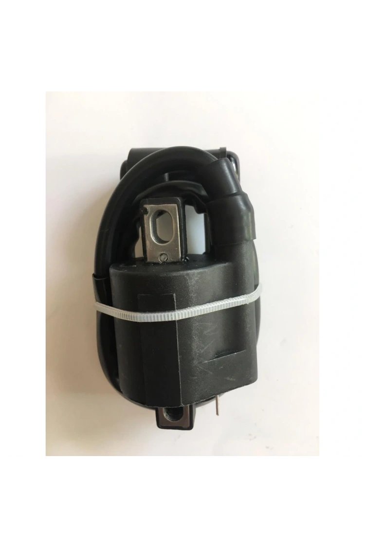 Cg Dış Bobin+Buji Başlıklı Asya Mondial Falcon