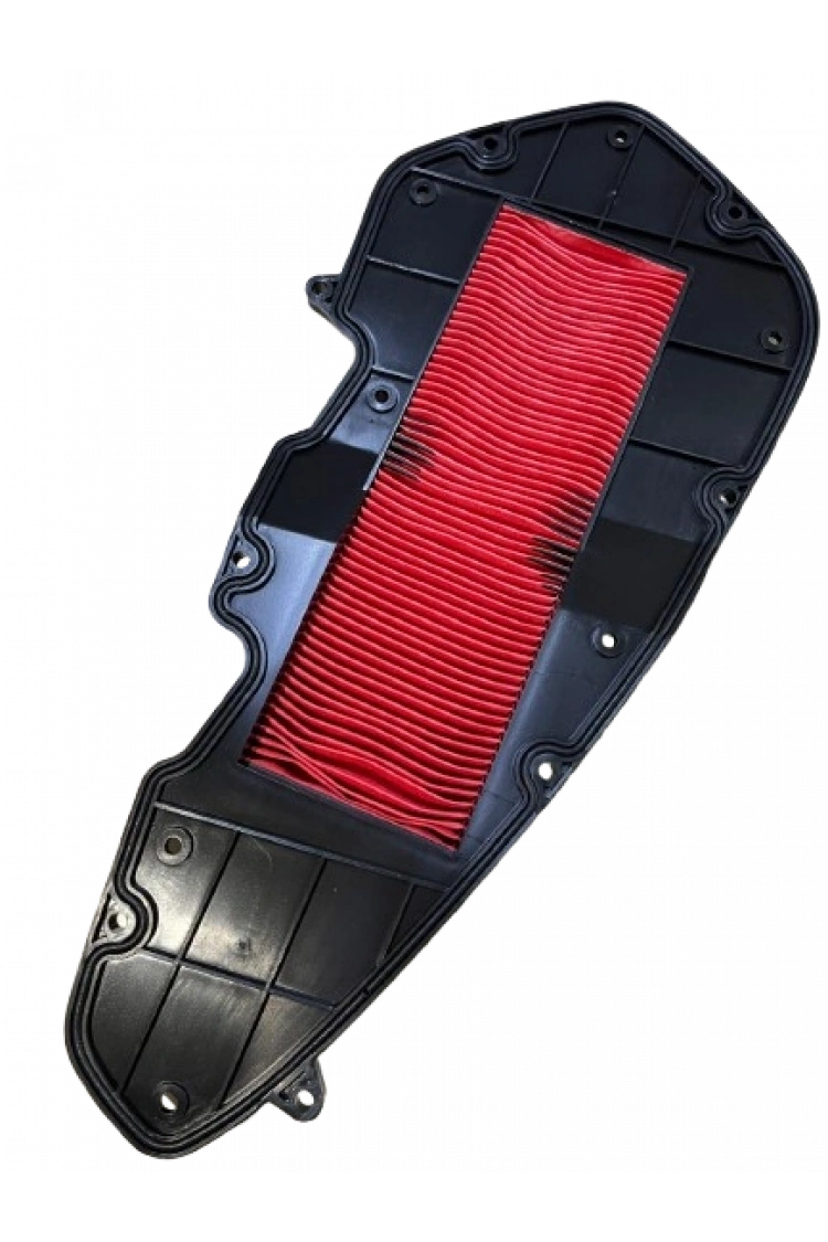 Daelim S3 Advance 250 Hava Filtresi