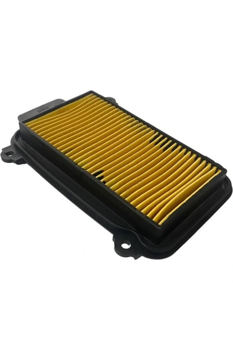 Hero 102 Pleasure - Duet Hava Filtre Elemanı