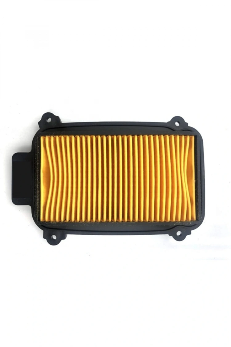 Hero 102 Pleasure - Duet Hava Filtre Elemanı