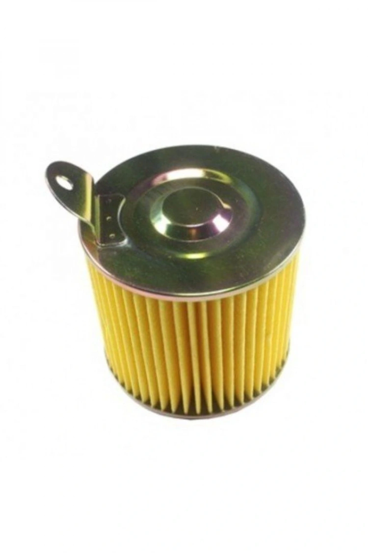 Honda Activa 100 Beat 100 Hava Filtresi