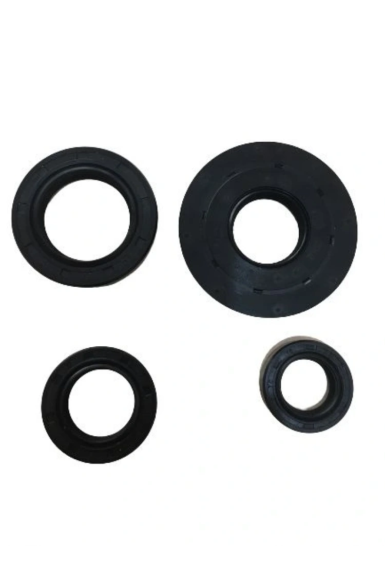 Honda Spacy 110 Alpha Dylan PS150 Hero Plasure 100 Keçe Seti 4Lü Oem Kalite