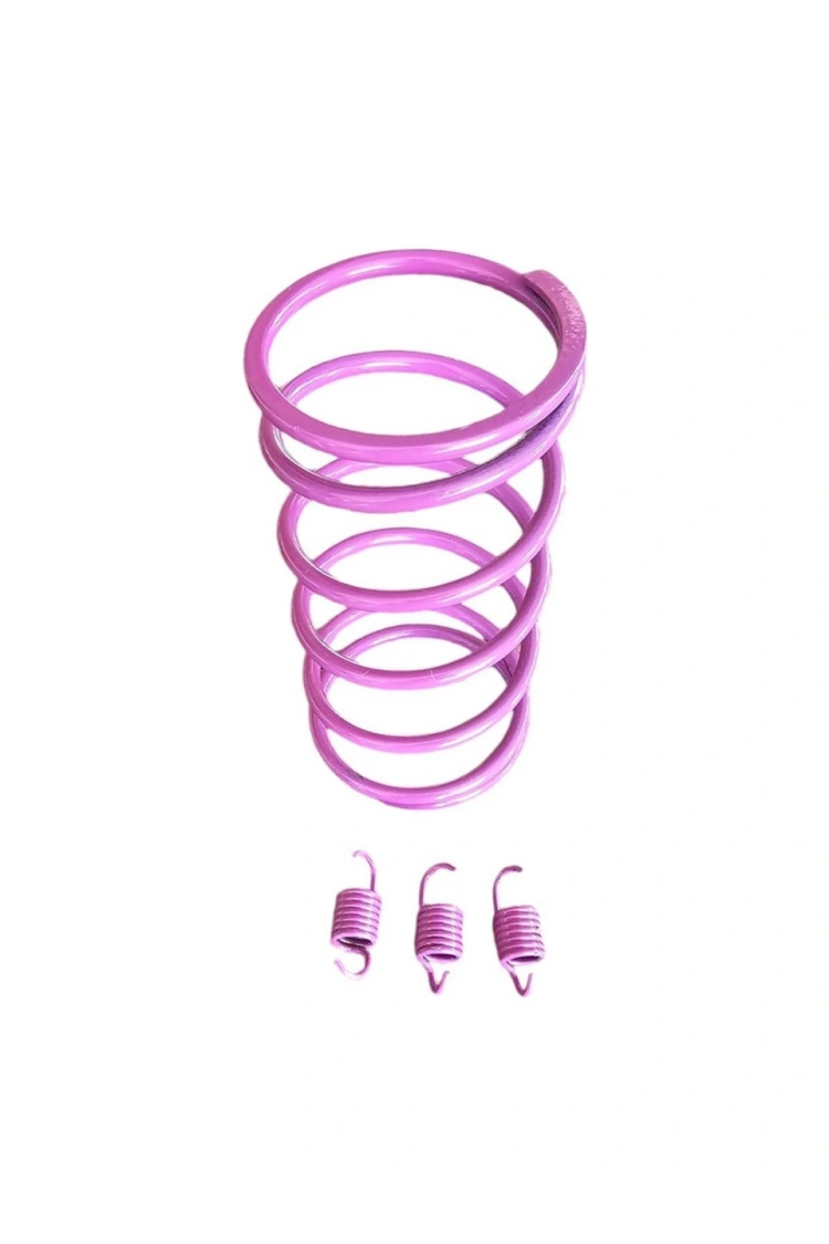 Honda Today 50cc Motosiklet Arka Varyatör Performans Yayı + Balata Yayı (1500 Rpm)