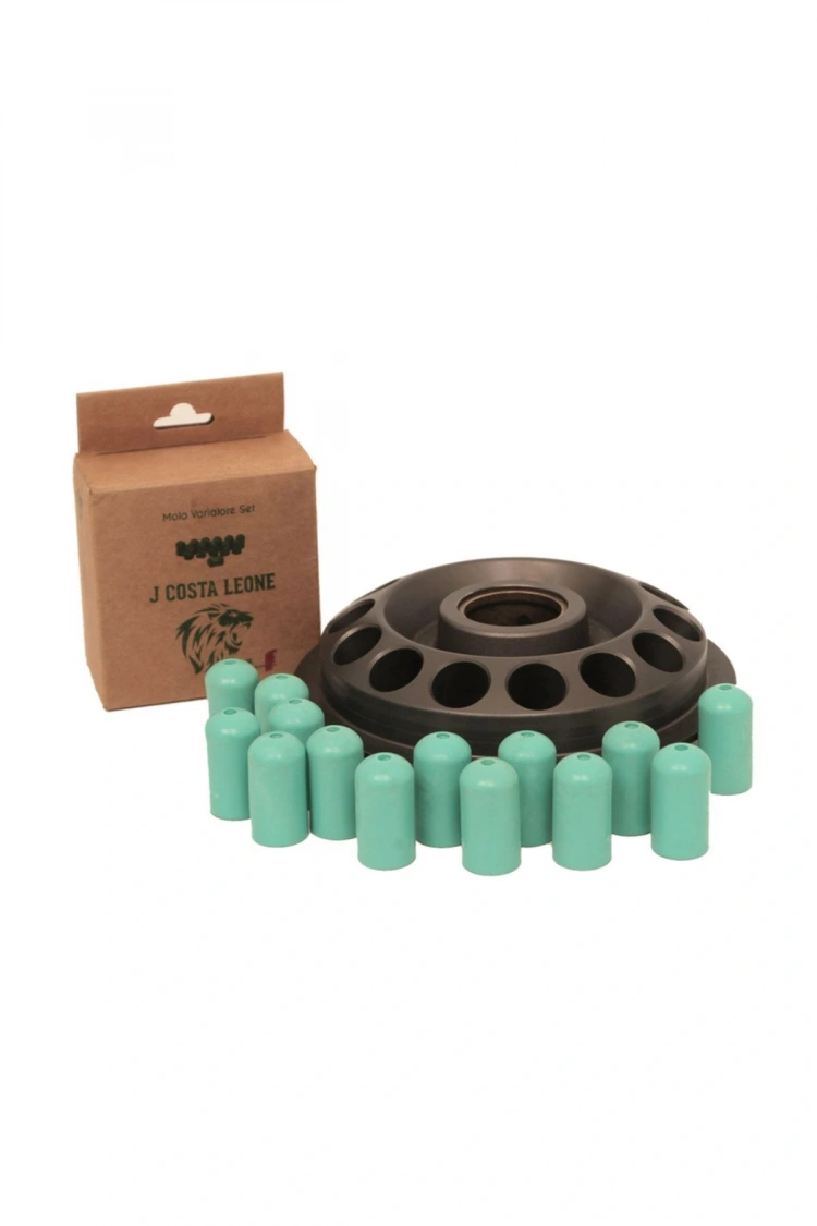 J.Costa Honda Pcx Performans Bagası 11GR (12 Adet) Leone