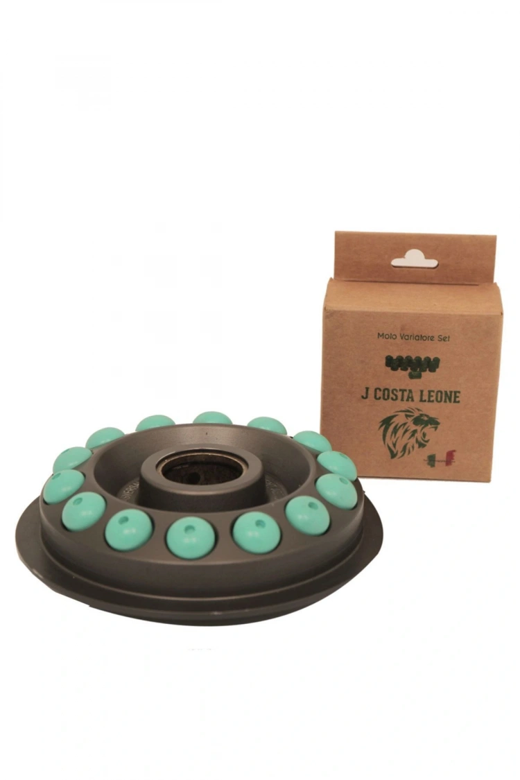 J.Costa Honda Pcx Performans Bagası 11GR (12 Adet) Leone