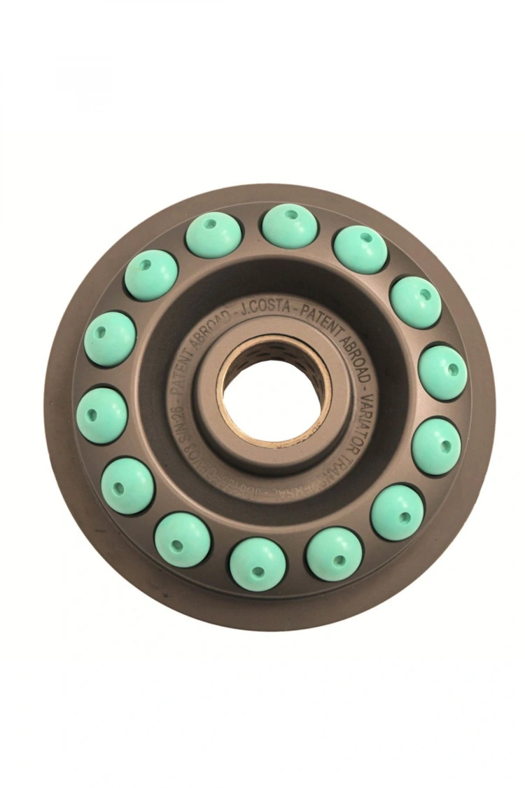 J.Costa Honda Pcx Performans Bagası 11GR (12 Adet) Leone