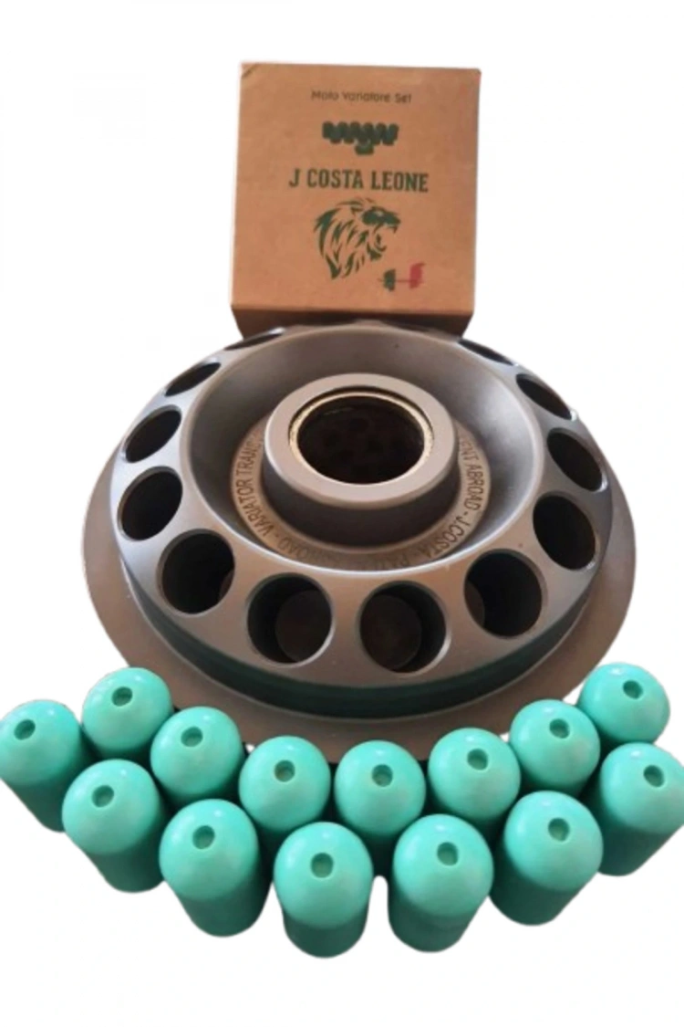 J.Costa Majesty 250cc Performans Bagası 15GR (12 Adet) Leone