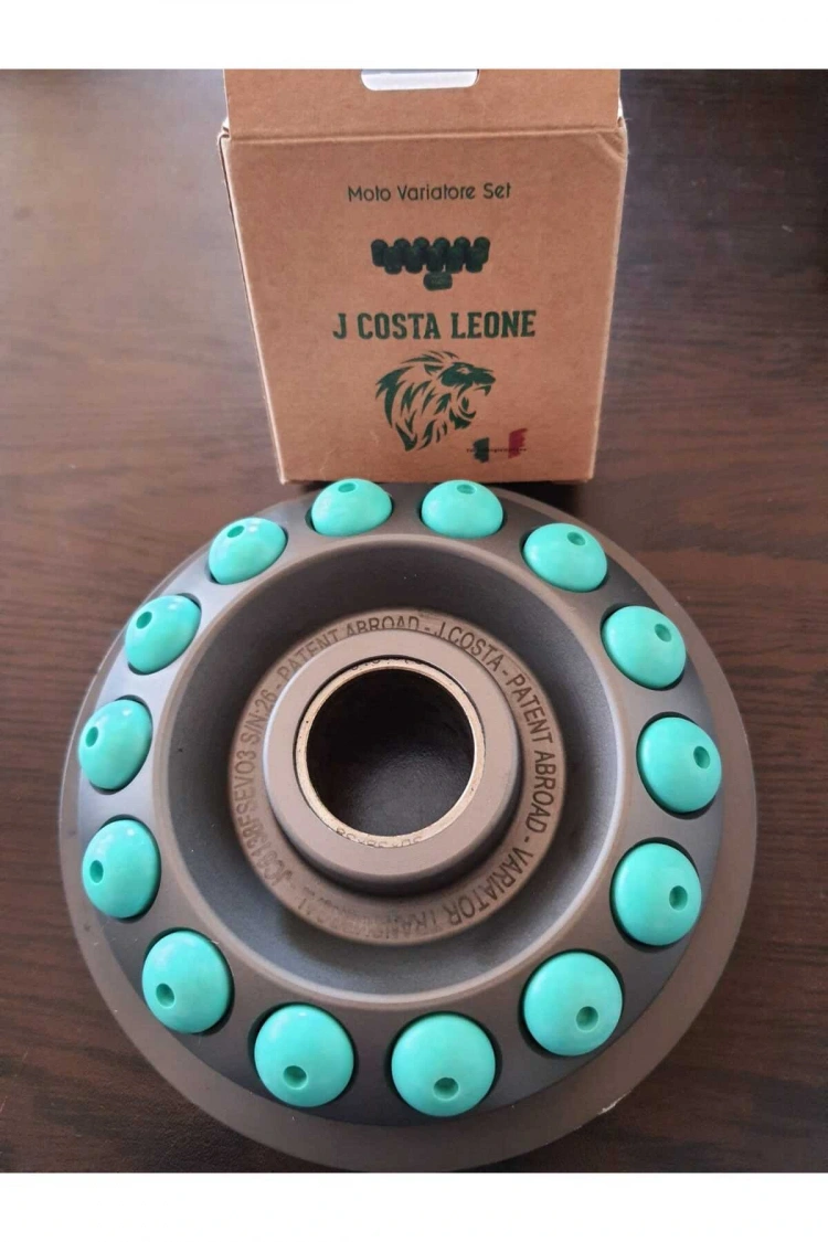 J.Costa Majesty 250cc Performans Bagası 15GR (12 Adet) Leone