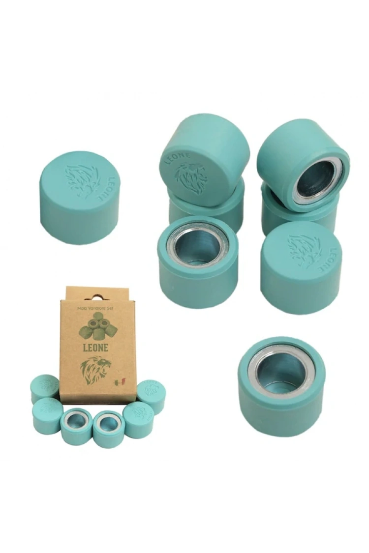 Mondial Ressivo 250cc Leone Performans Bagası 12.5 gram