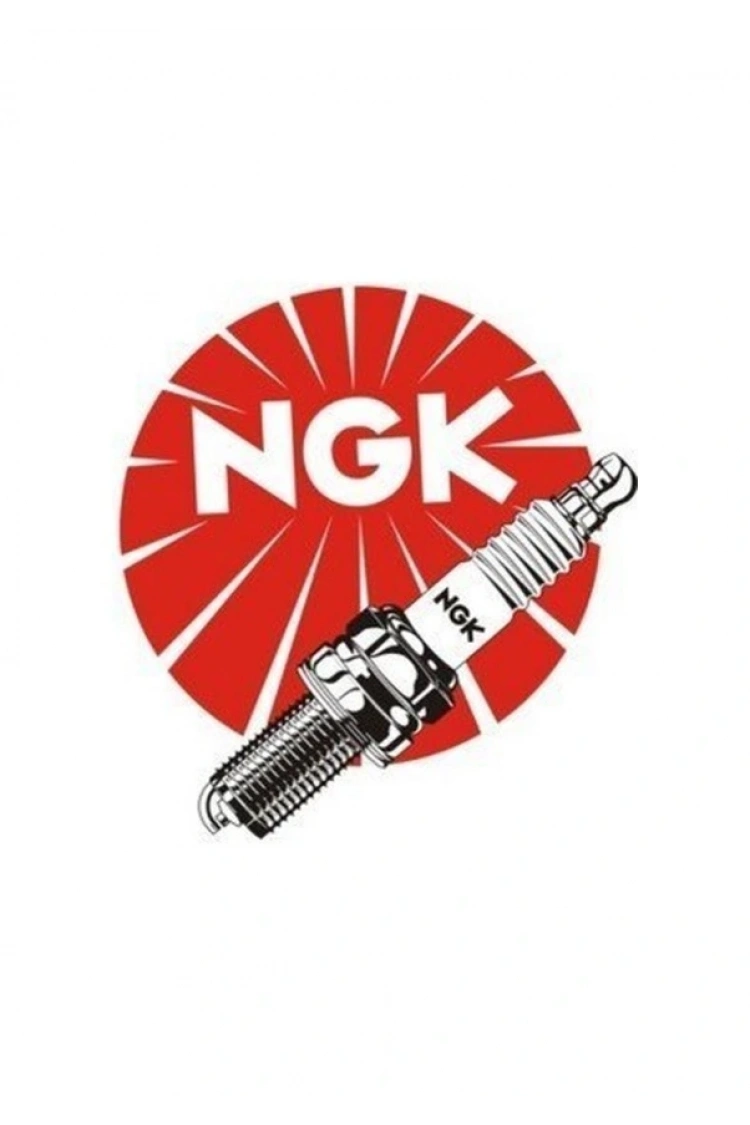 Ngk Buji Dpr8ea-9 Made İn Japan 4929