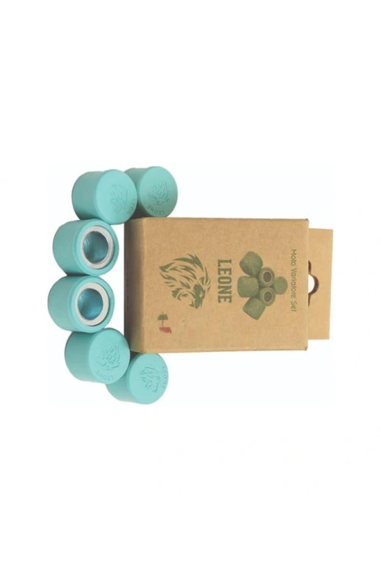 Piaggio Beverly 350cc Leone Performans Bagası