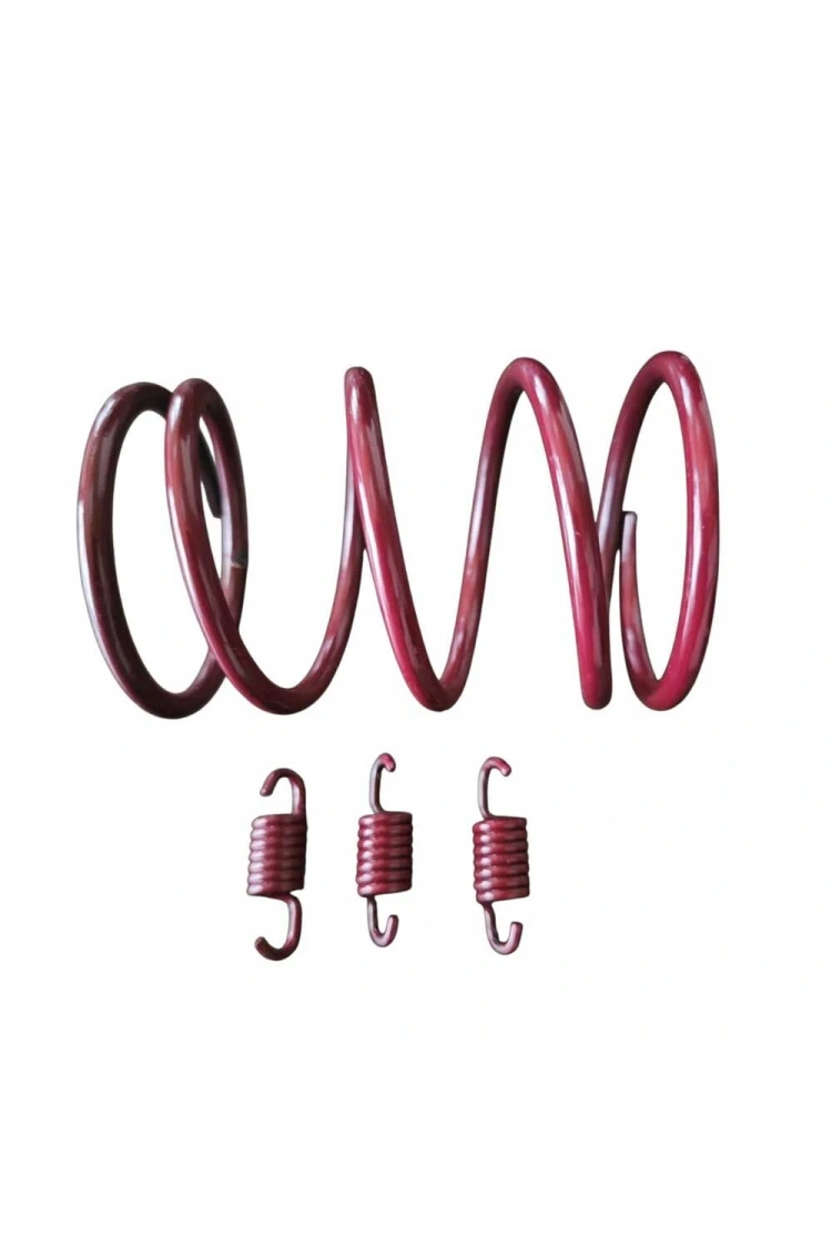 Rks Vrs 125 Varyatör Performans Yayı + Debriyaj Balata Yayı Seti Speed Up