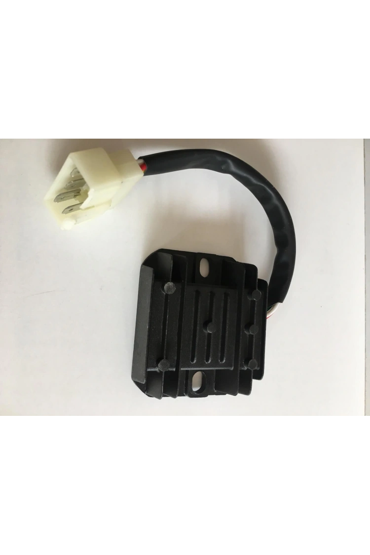 Scooter Regülatör Rs Hs Konjektör 5Li Büyük Fiş