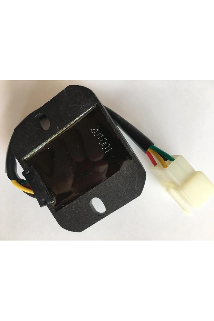 Scooter Regülatör Rs Hs Konjektör 5Li Büyük Fiş