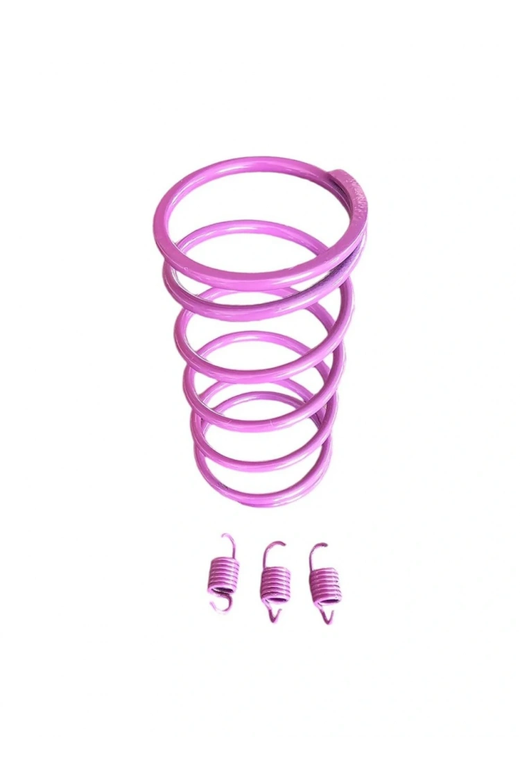 Speed Up ZN-100T-E5 Legend Motosiklet Arka Varyatör Performans Yayı + Balata Yayı