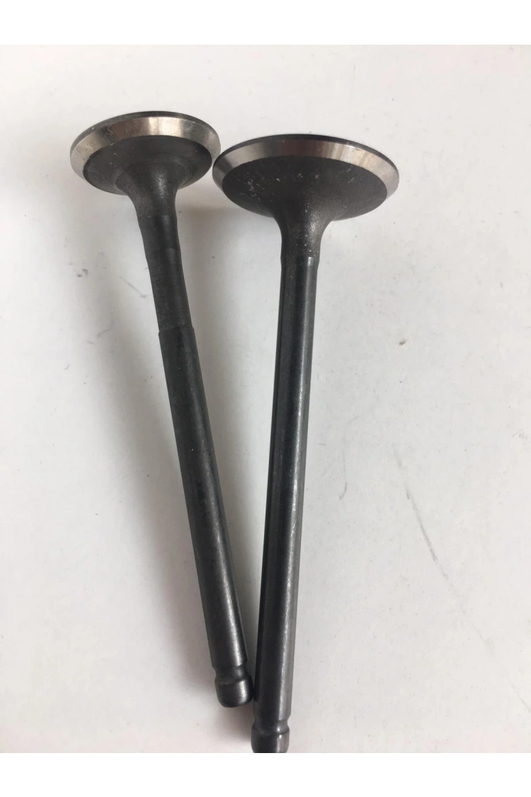 Subop Takımı Honda Spacy 110 Oem Kalite subap TK