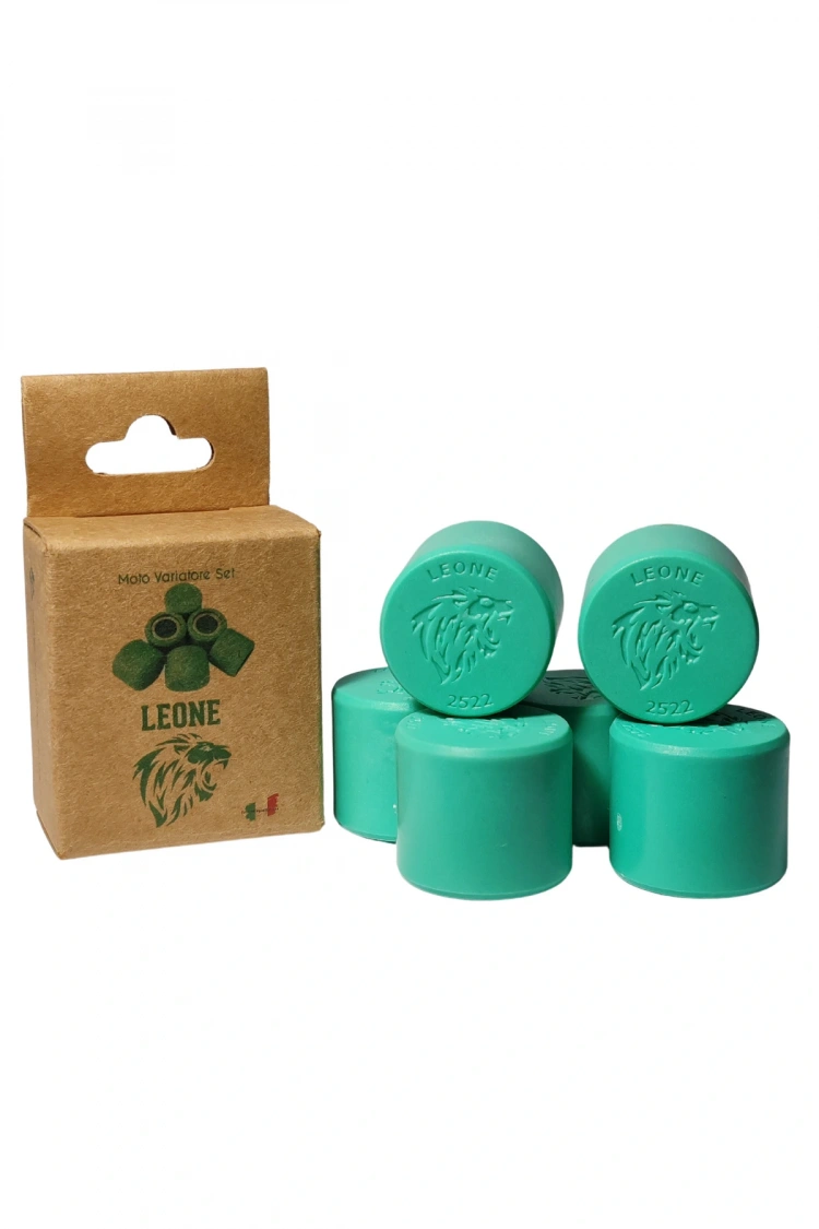 Sym Gts 250i Evo 250cc Leone Performans Bagası 6 Lı Set